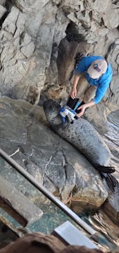 しながわ水族館に投稿された画像（2024/1/13）