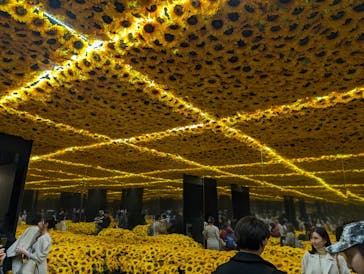 ゴッホ・アライブに投稿された画像（2024/1/13）