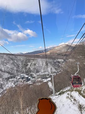 のぼりべつクマ牧場に投稿された画像（2024/1/13）