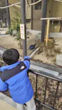 天王寺動物園に投稿された画像（2024/1/13）