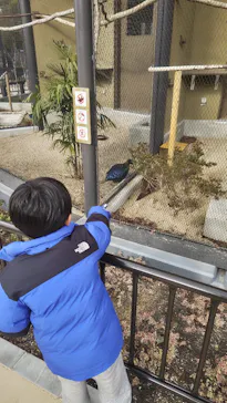 天王寺動物園に投稿された画像（2024/1/13）