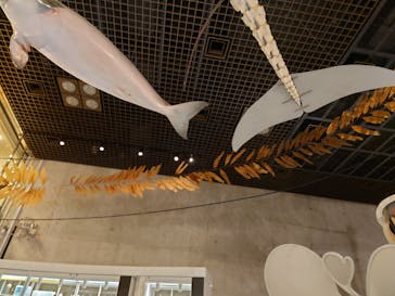 国立科学博物館に投稿された画像（2024/1/13）