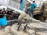 仙台うみの杜水族館に投稿された画像（2024/1/13）