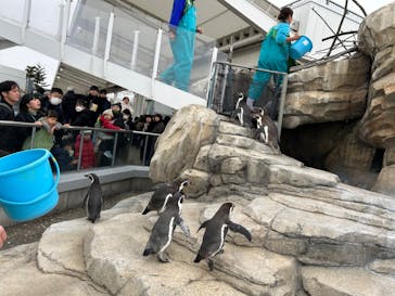 仙台うみの杜水族館に投稿された画像（2024/1/13）