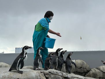 仙台うみの杜水族館に投稿された画像（2024/1/13）