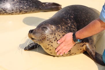 島根県立 しまね海洋館に投稿された画像（2024/1/13）
