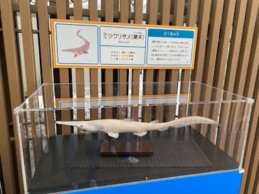 サンシャイン水族館に投稿された画像（2024/1/13）