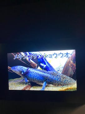 サンシャイン水族館に投稿された画像（2024/1/13）