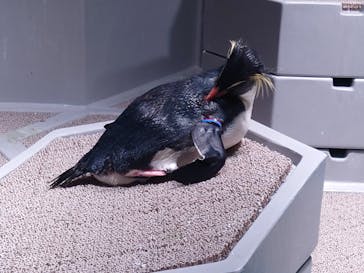 AOAO SAPPOROに投稿された画像（2024/1/13）