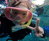 武藤潜水に投稿された画像（2024/1/13）