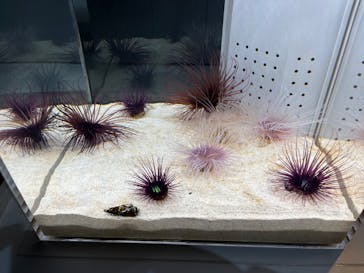 AOAO SAPPOROに投稿された画像（2024/1/13）