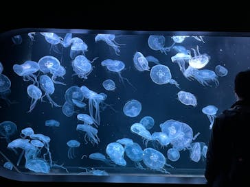 AOAO SAPPOROに投稿された画像（2024/1/13）