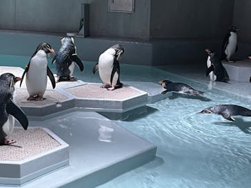 AOAO SAPPOROに投稿された画像（2024/1/13）