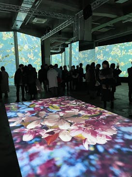 ゴッホ・アライブに投稿された画像（2024/1/13）