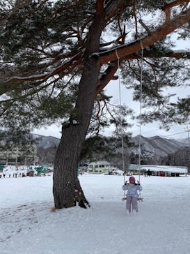 水上高原 藤原スキー場に投稿された画像（2024/1/13）