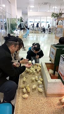 Moff animal world BIGHOPガーデンモール印西店に投稿された画像（2024/1/13）