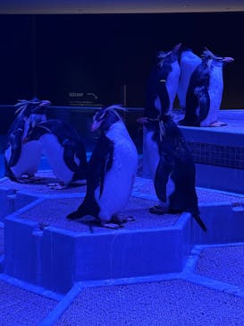 AOAO SAPPOROに投稿された画像（2024/1/13）