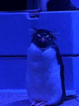 AOAO SAPPOROに投稿された画像（2024/1/13）