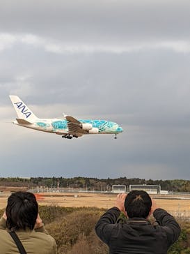 航空科学博物館に投稿された画像（2024/1/13）