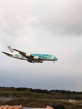 航空科学博物館に投稿された画像（2024/1/13）