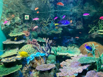 サンシャイン水族館に投稿された画像（2024/1/13）