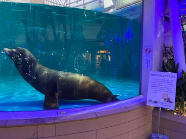 サンシャイン水族館に投稿された画像（2024/1/13）