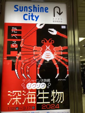 サンシャイン水族館に投稿された画像（2024/1/13）