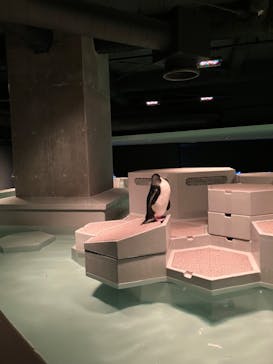 AOAO SAPPOROに投稿された画像（2024/1/13）