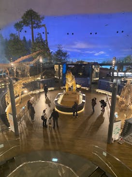 福井県立恐竜博物館に投稿された画像（2024/1/13）