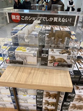 福井県立恐竜博物館に投稿された画像（2024/1/13）