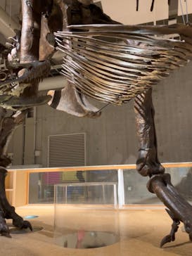 国立科学博物館に投稿された画像（2024/1/13）