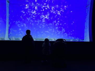アクアワールド茨城県大洗水族館に投稿された画像（2024/1/13）