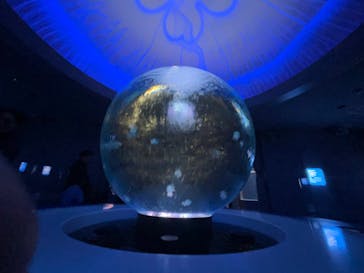 新江ノ島水族館に投稿された画像（2024/1/13）