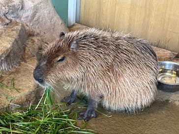 新江ノ島水族館に投稿された画像（2024/1/13）