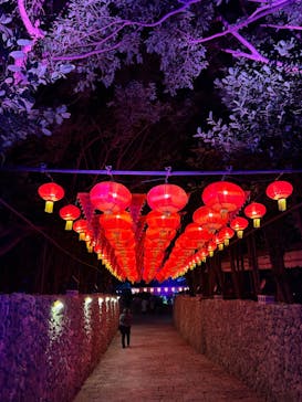 体験王国 むら咲むらに投稿された画像（2024/1/13）