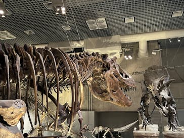 国立科学博物館に投稿された画像（2024/1/13）