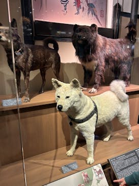 国立科学博物館に投稿された画像（2024/1/13）