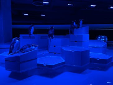 AOAO SAPPOROに投稿された画像（2024/1/13）