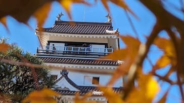 鶴ヶ城に投稿された画像（2023/11/23）