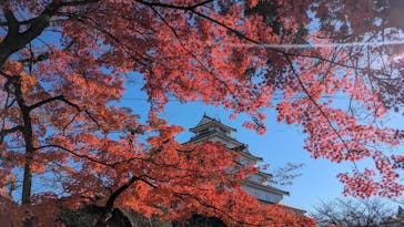 鶴ヶ城に投稿された画像（2023/11/23）