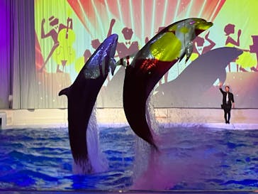 アクアワールド茨城県大洗水族館に投稿された画像（2024/1/13）