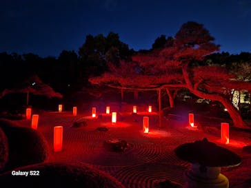 日本庭園　由志園に投稿された画像（2024/1/13）