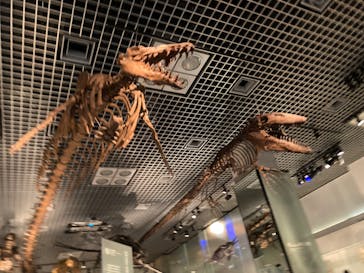 国立科学博物館に投稿された画像（2024/1/13）