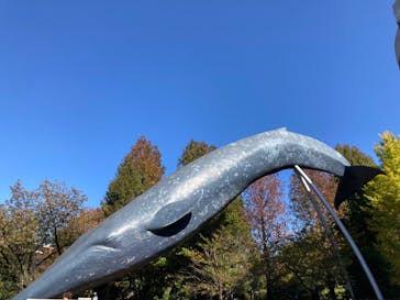 国立科学博物館に投稿された画像（2024/1/13）