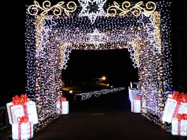 修善寺虹の郷に投稿された画像（2024/1/13）