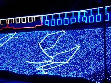 修善寺虹の郷に投稿された画像（2024/1/13）