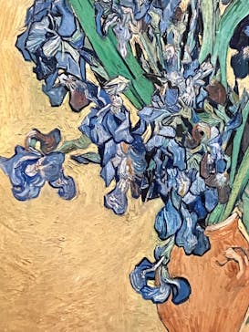 ゴッホと静物画　伝統から革新へ（SＯＭＰＯ美術館）に投稿された画像（2024/1/14）