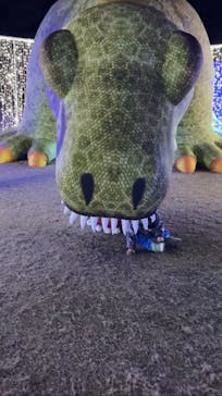 鹿児島イルミナージュに投稿された画像（2024/1/14）