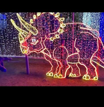 鹿児島イルミナージュに投稿された画像（2024/1/14）