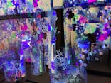 愛知県指定有形文化財 伊藤家住宅×花とデジタルアートの祭典 2023-2024に投稿された画像（2024/1/14）